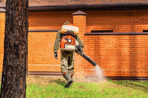 Trusted Fumigation Services service in Florence-Graham, CA - Nex Pest Control